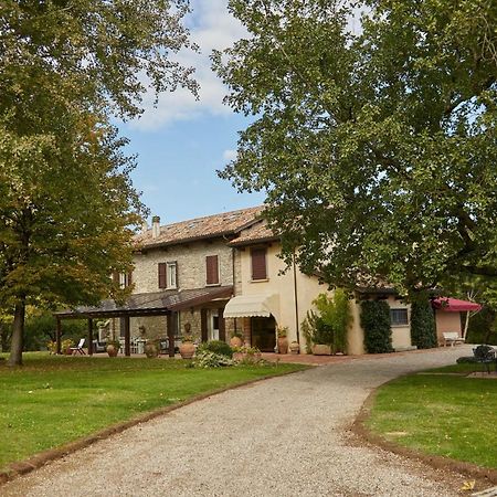 Agriturismo Virano19 Castrocaro Terme Exterior foto